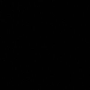 Meet your Posher, Ebony